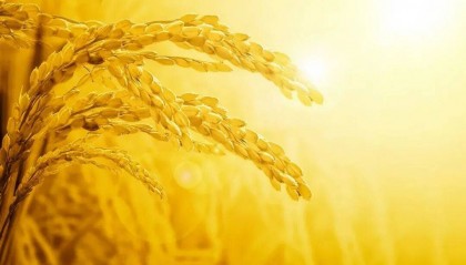 百分百！我院2025年度执业医师资格考试首考通过率100%