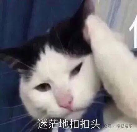 离婚三年又被拍到亲密逛超市,他俩这是纯带娃还是真复合了?