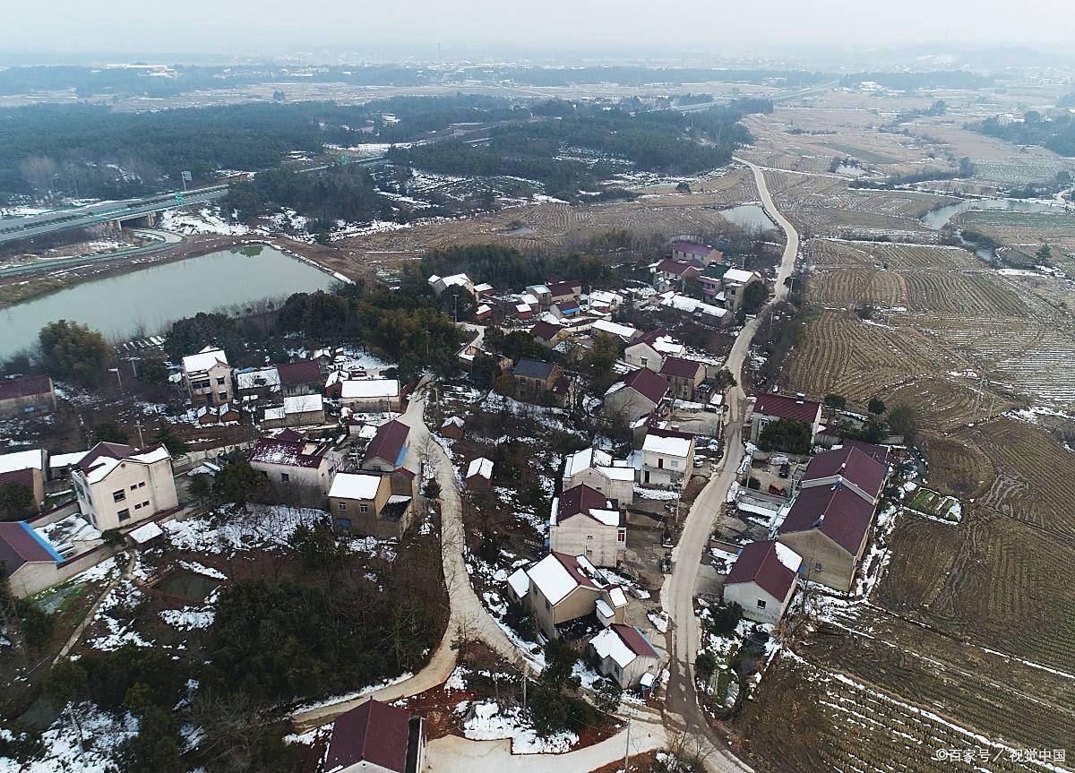 2025年新村村通要来了?一户一田、土地归并最新消息!
