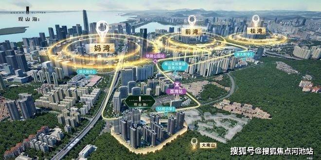南山【观山海家园】楼王加推01户型，纯板楼南北通，一梯一户，改善首选