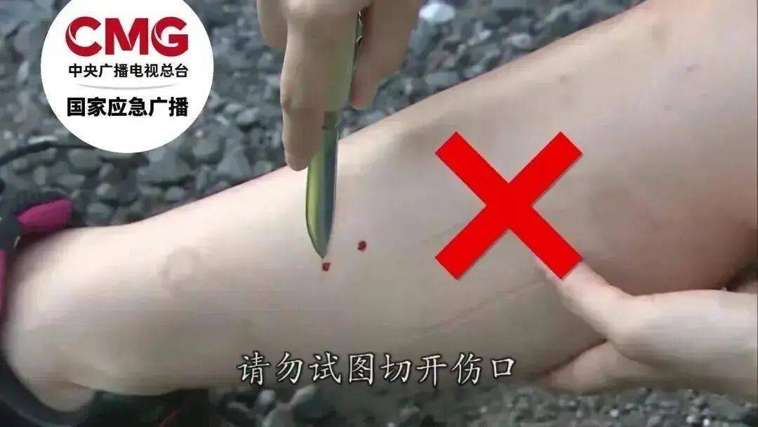女子半夜上厕所，马桶里突然窜出一条蛇！