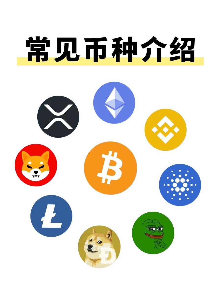 上线虚拟币(虚拟币 shib)